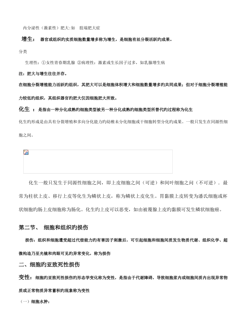 2025年病理学知识点归纳_第2页