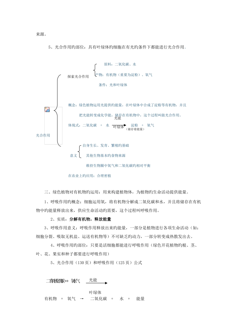 2025年第三单元生物圈中的绿色植物知识点总复习学生用_第3页
