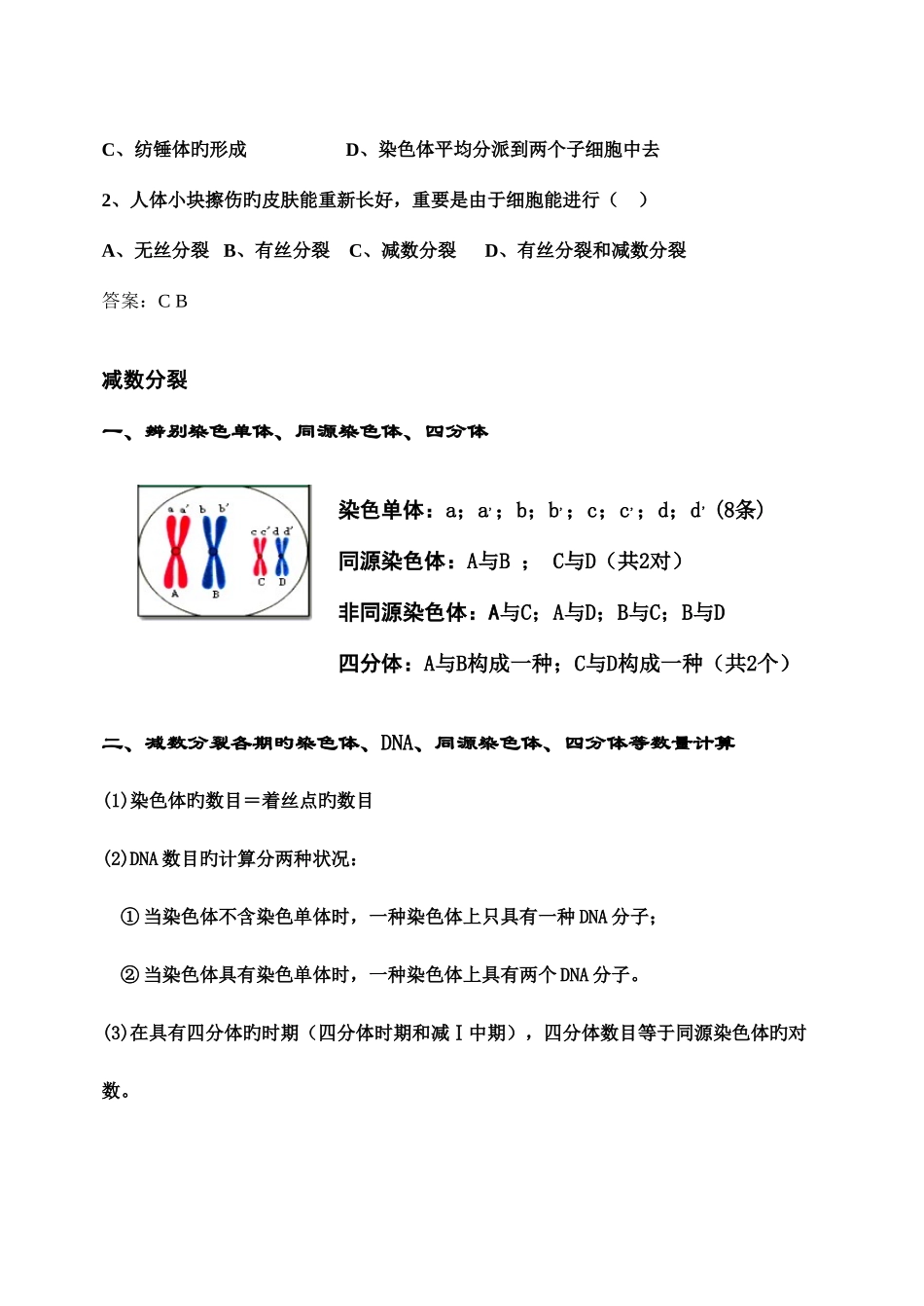 2025年细胞分裂知识点总结_第3页