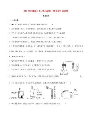 2025年九年级化学上册二氧化碳和一氧化碳能力进阶真题汇编课时练新版