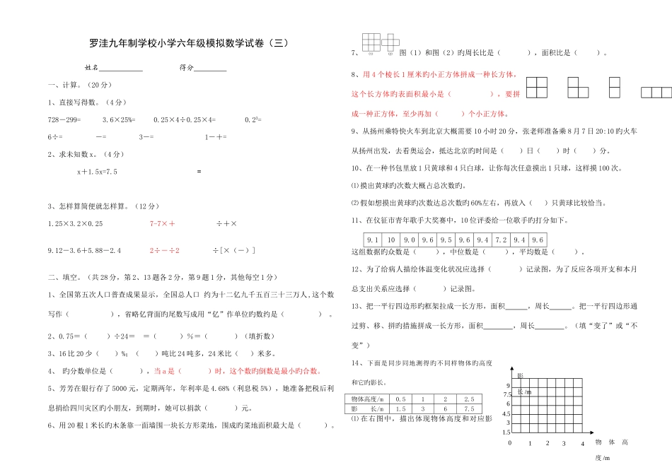 2025年罗洼九制学校小学六级模拟数学试卷三_第1页
