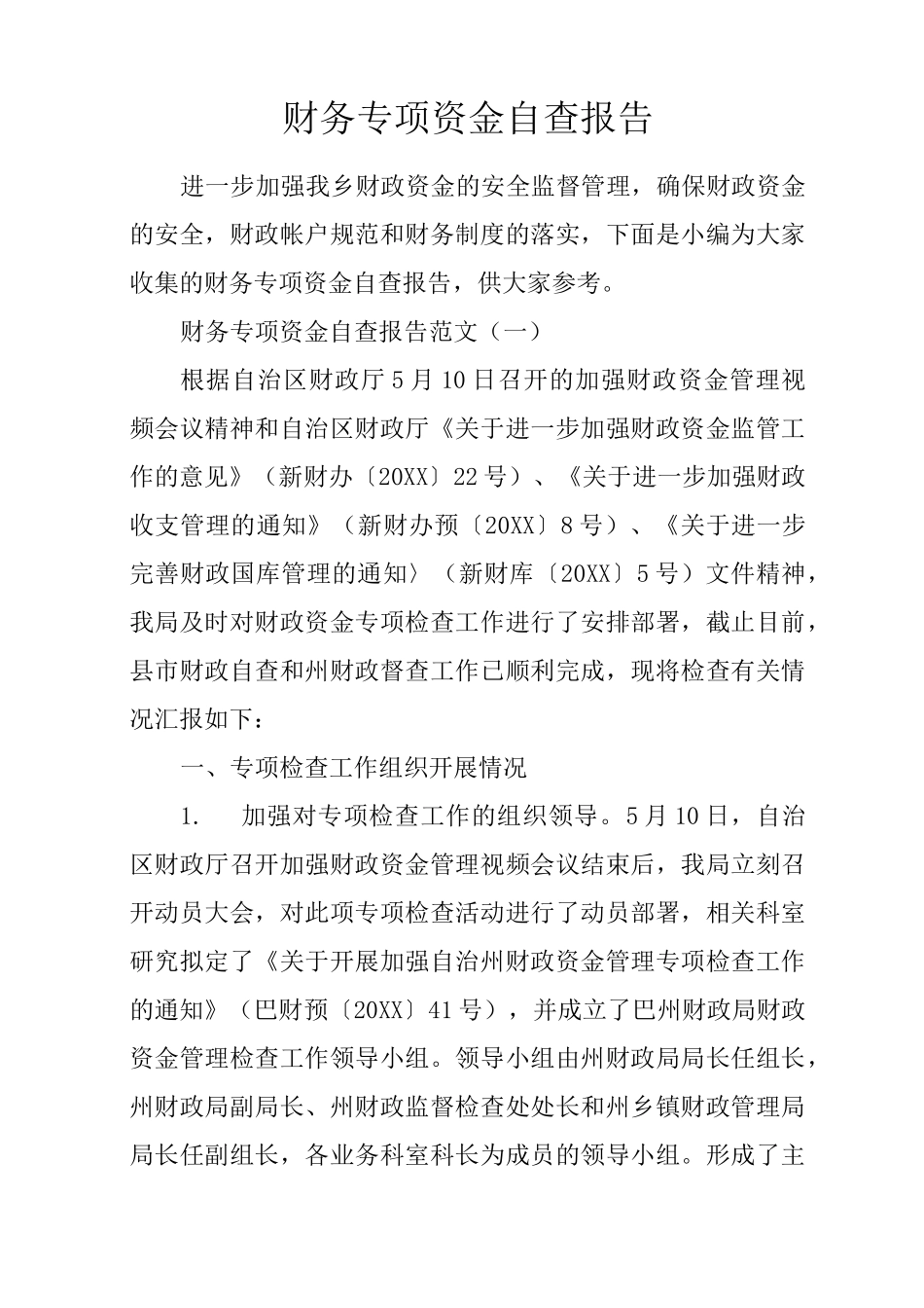 财务专项资金自查报告_第1页