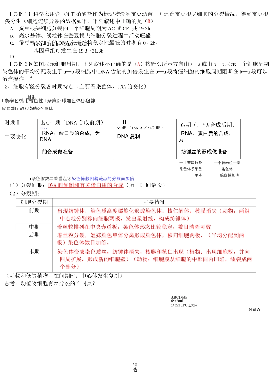 细胞增殖一轮复习教学案_第2页