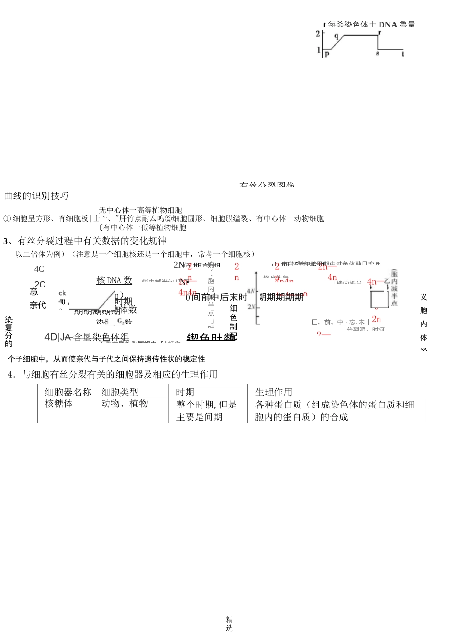 细胞增殖一轮复习教学案_第3页
