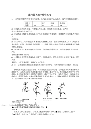 基因分离定律和自由组合定律总结及练习