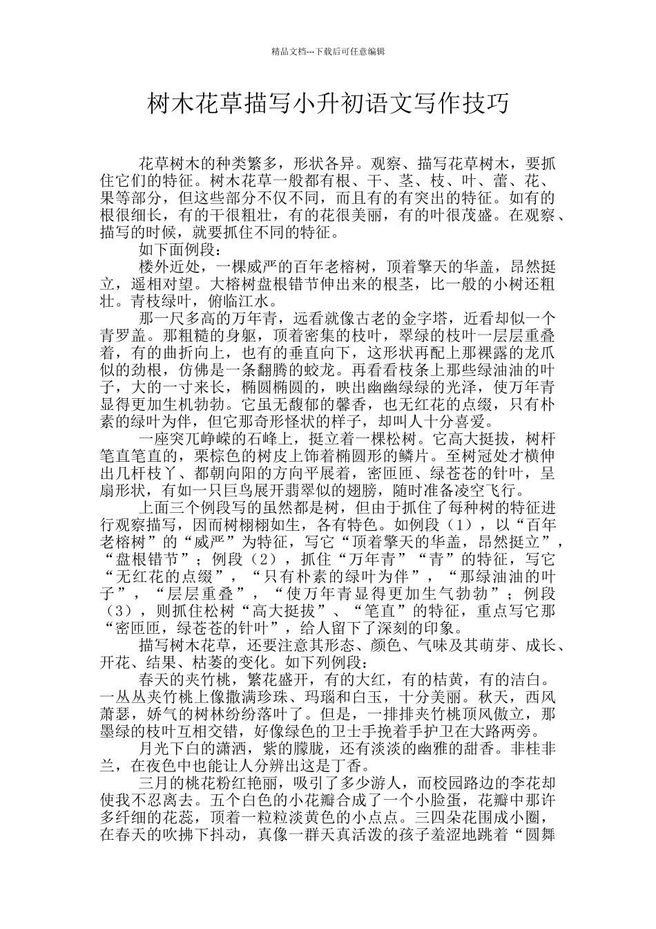 树木花草描写小升初语文写作技巧_第1页