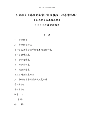 民办非企业单位财务审计报告模板