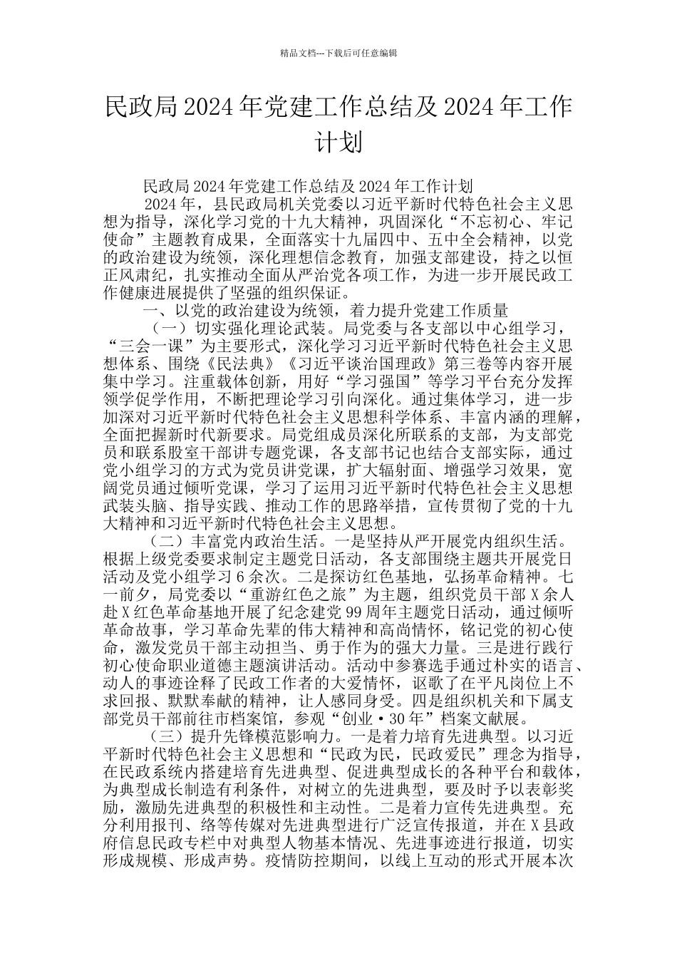 民政局2024年党建工作总结及2024年工作计划_第1页