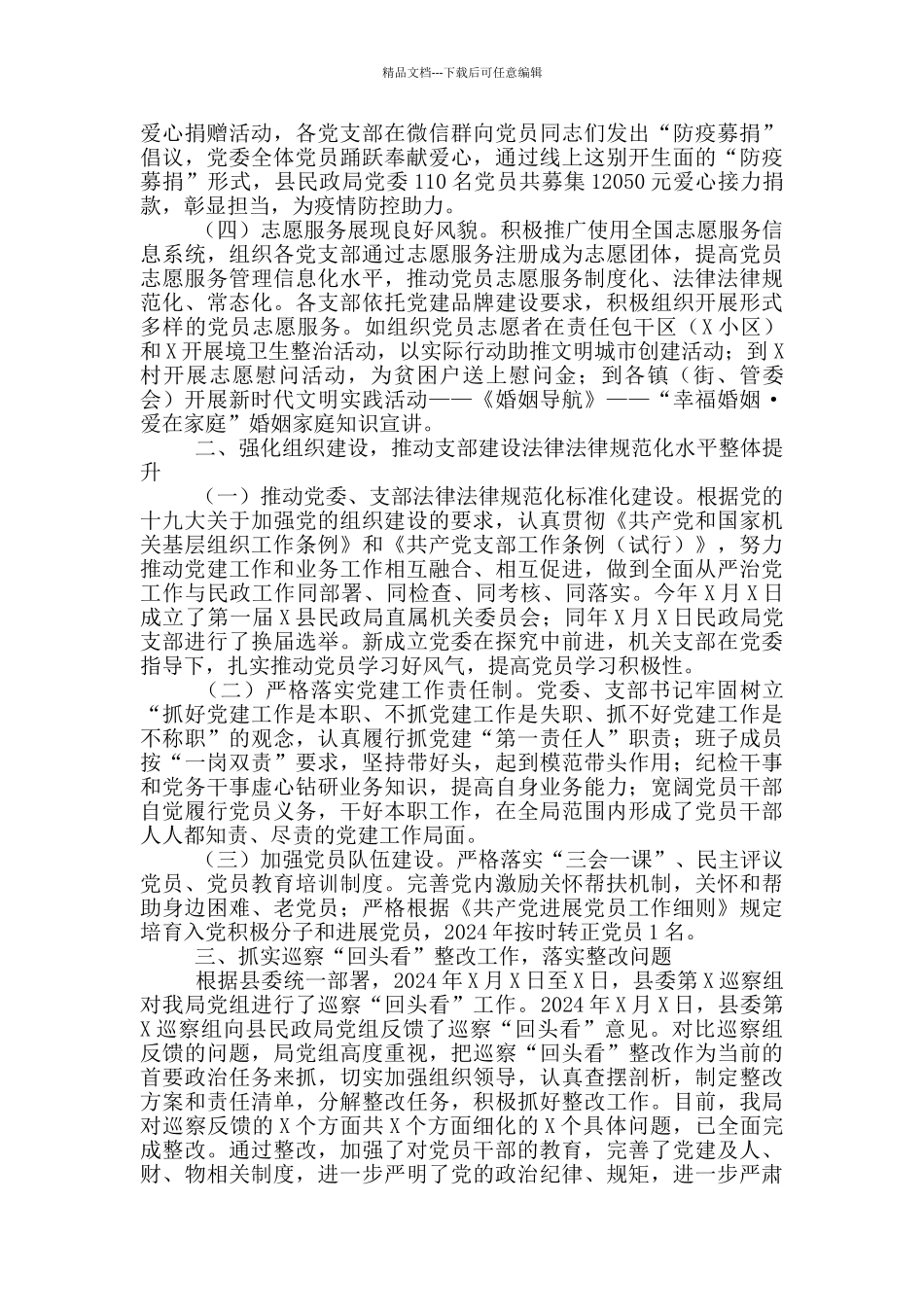 民政局2024年党建工作总结及2024年工作计划_第2页