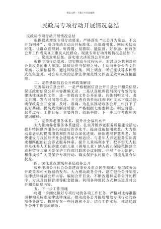 民政局专项行动开展情况总结