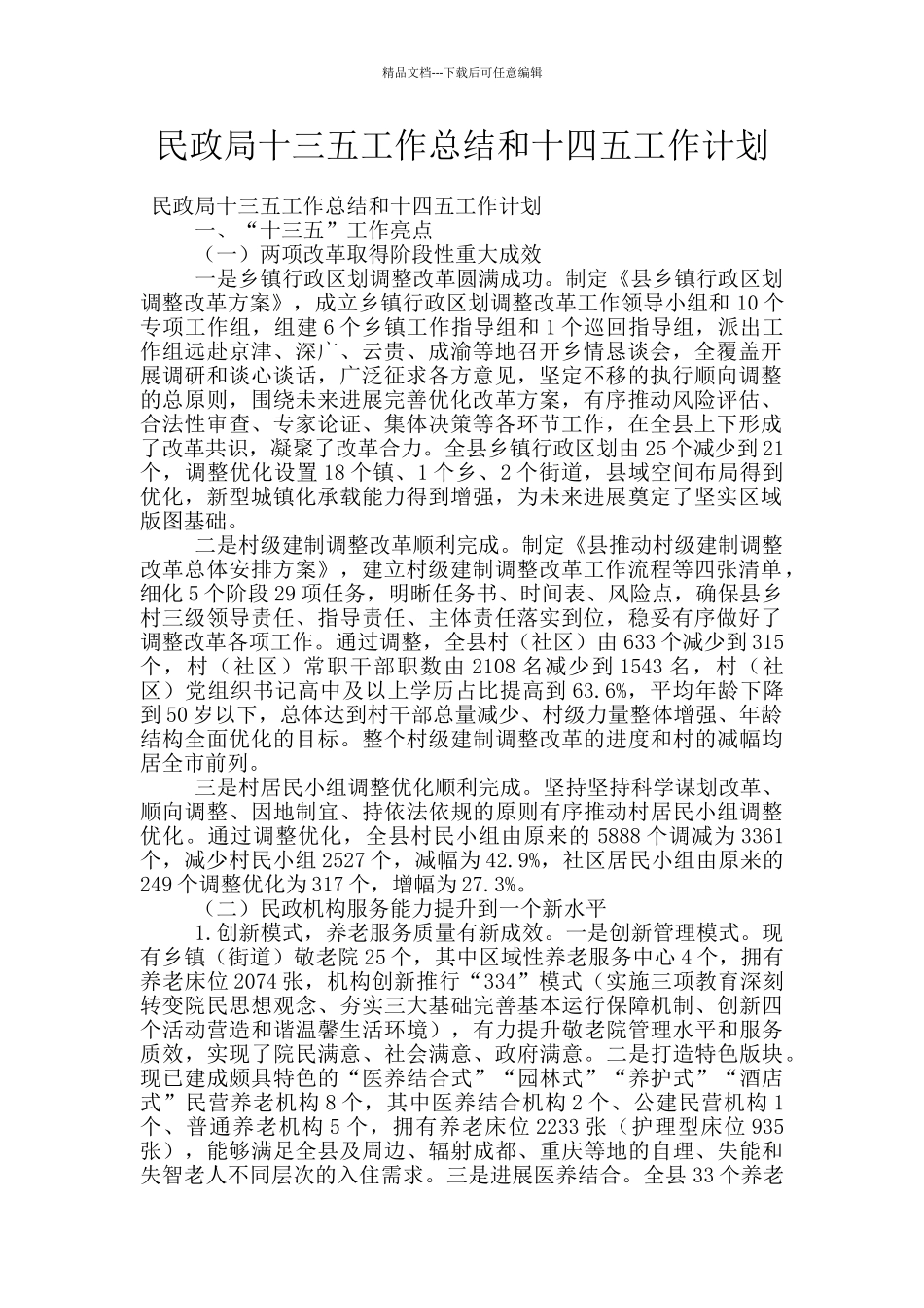 民政局十三五工作总结和十四五工作计划_第1页