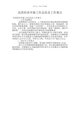 民营经济开展工作总结及工作要点