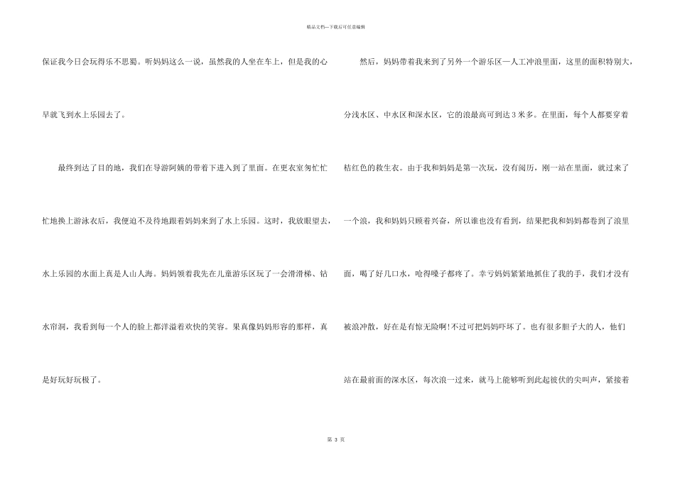 水上乐园周记_第3页