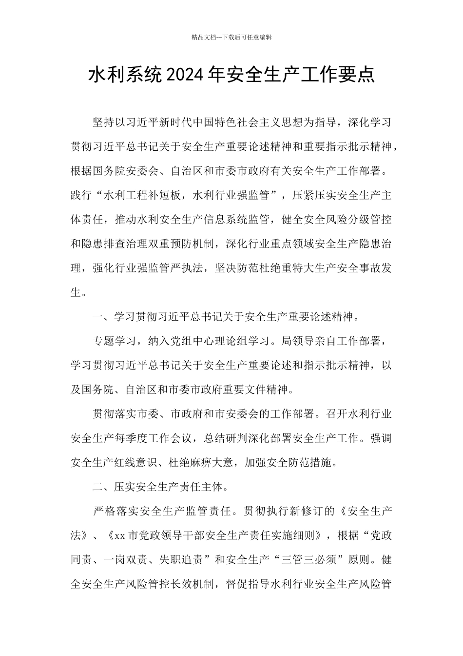 水利系统2024年安全生产工作要点_第1页