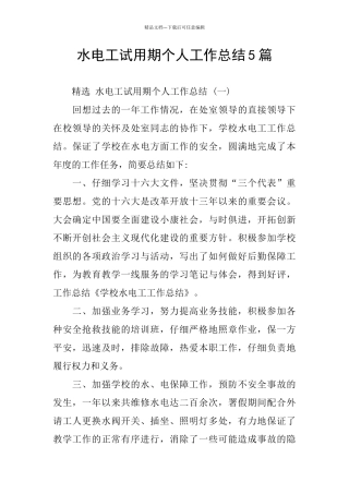 水电工试用期个人工作总结5篇