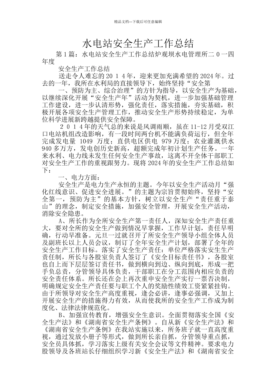 水电站安全生产工作总结_第1页