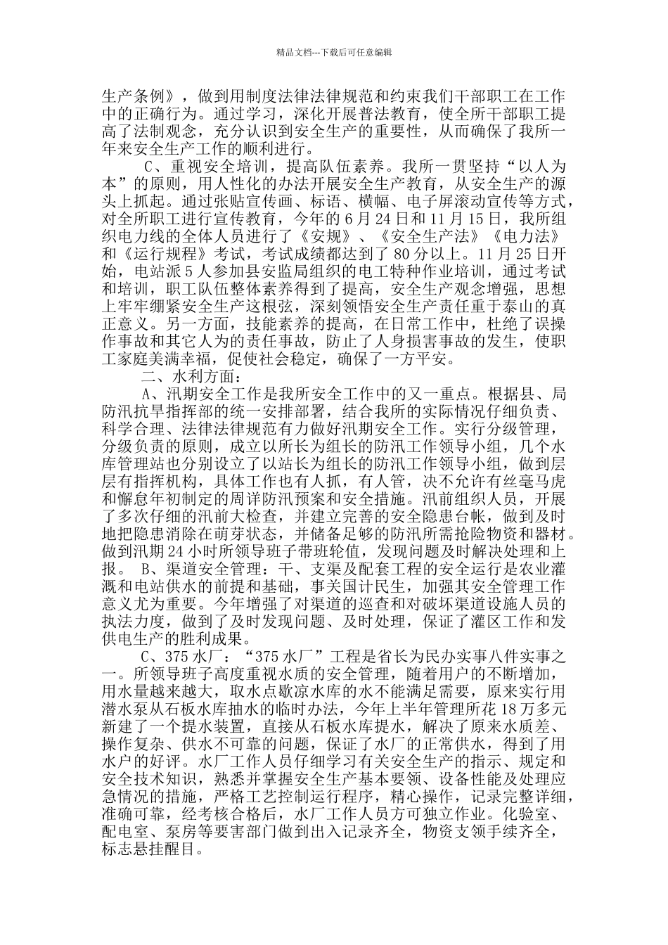 水电站安全生产工作总结_第2页