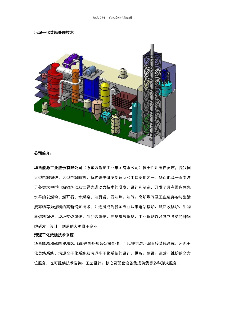污泥干化焚烧处理技术_第1页