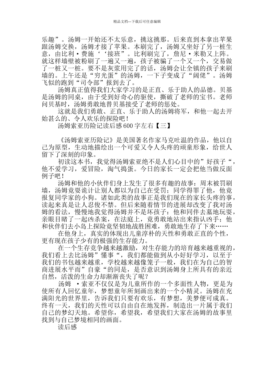 汤姆索亚历险记读后感600字左右_第2页