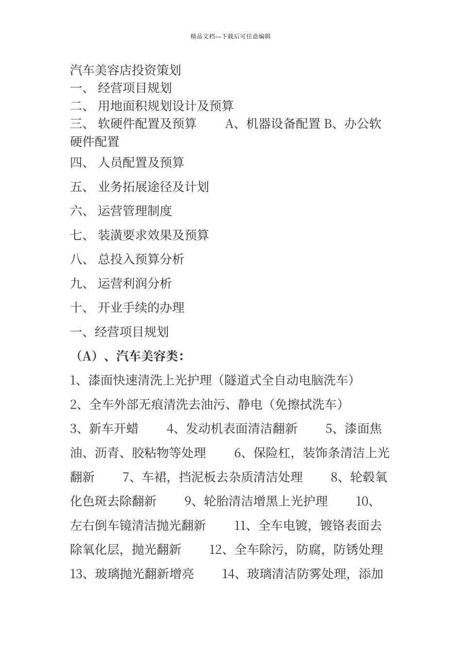 汽车美容店投资策划_第1页