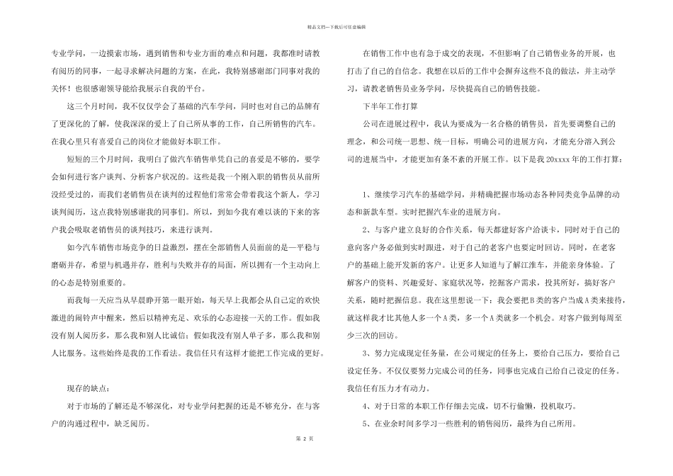 汽车销售经理年终总结_第2页