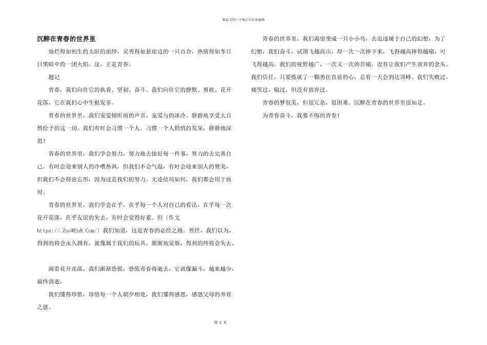 沉醉在青春的世界里_第1页