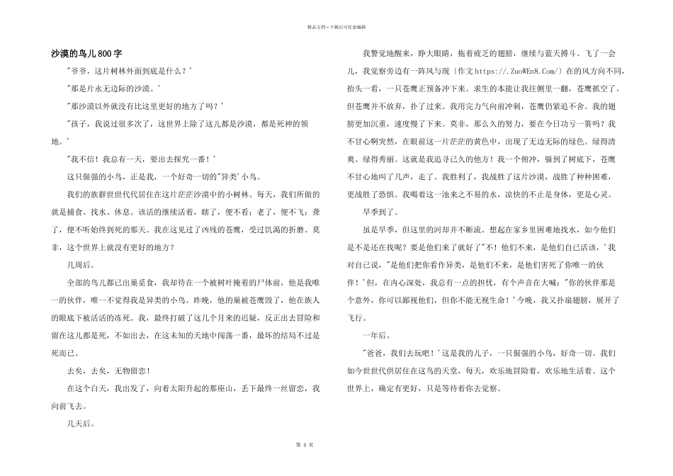 沙漠的鸟儿800字_第1页