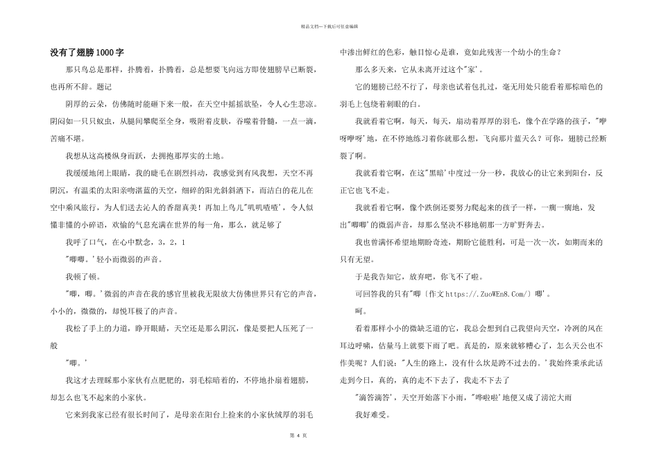 没有了翅膀1000字_第1页