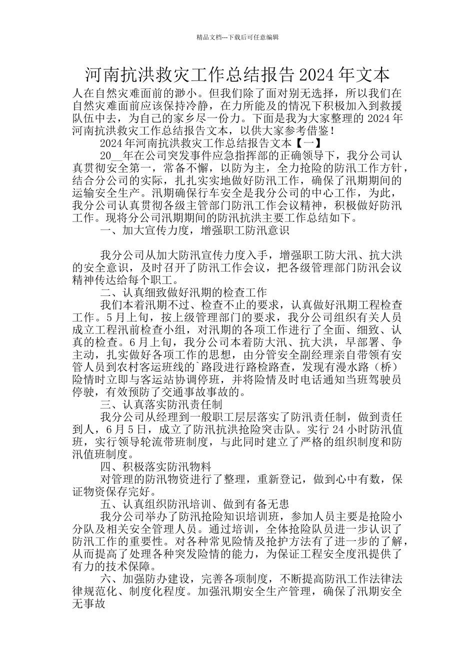 河南抗洪救灾工作总结报告2024年文本_第1页