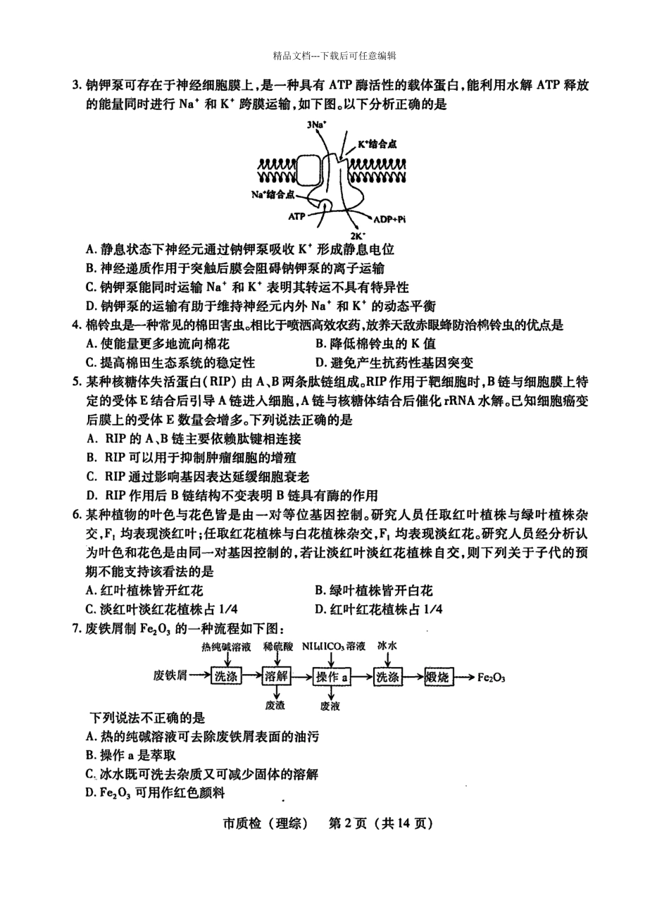 泉州市2024届高中毕业班质量检查试卷理综_第2页