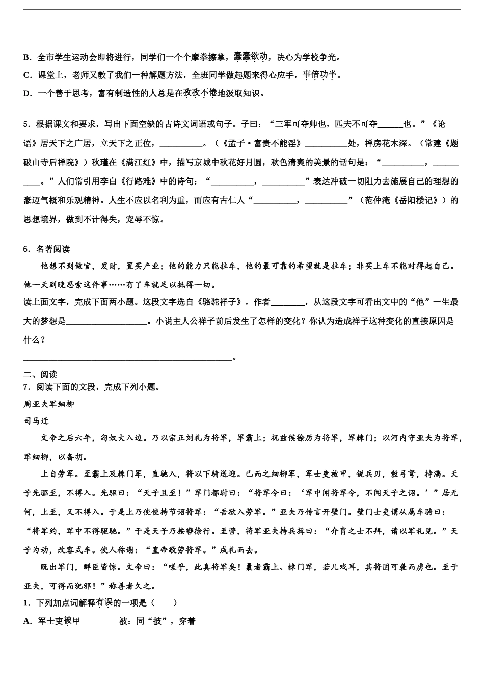 泰州市靖江外国语学校中考语文模拟精编试卷含解析_第2页