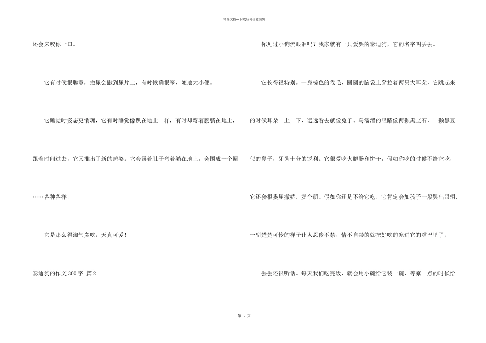 泰迪狗的300字三篇_第2页
