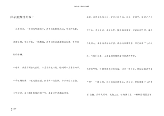 洋芋里煮沸的故乡