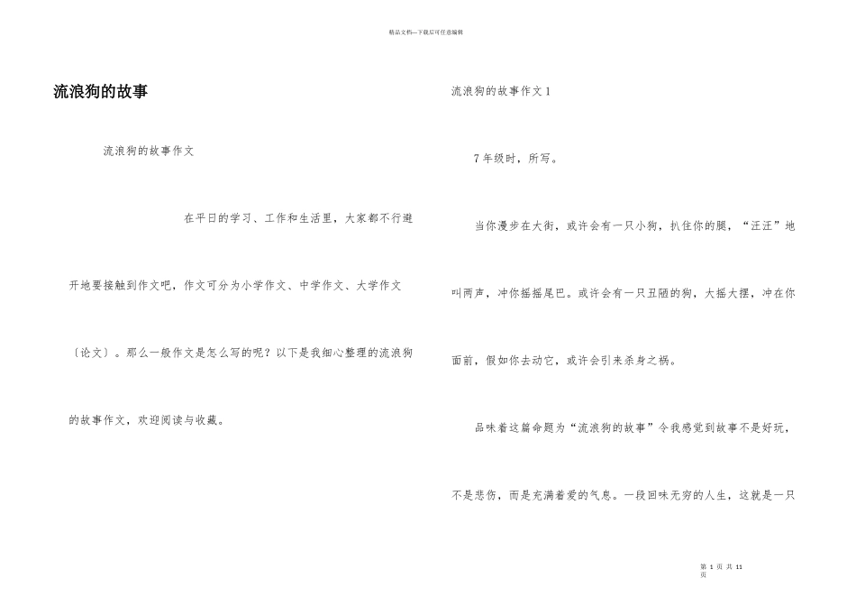 流浪狗的故事_第1页