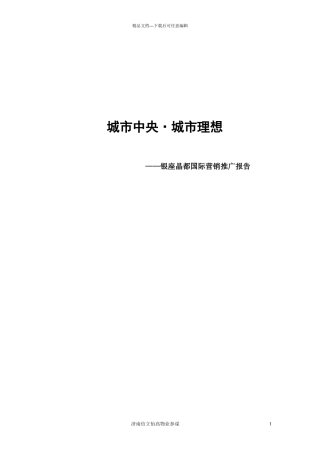 济南城市中央城市理想银座晶都国际营销推广报告