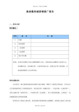 海典数码城营销推广报告