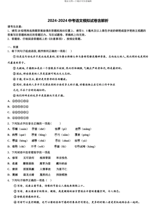 海南省三亚华侨校中考语文模拟试题含解析