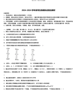 海南省儋州第一中学高三第六次模拟考试生物试卷含解析