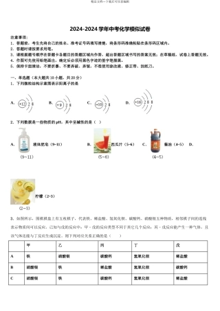 海南省海口中学中考三模化学试题含解析