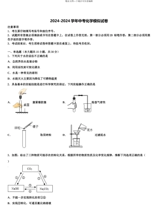 海口市重点中学中考化学考试模拟冲刺卷含解析