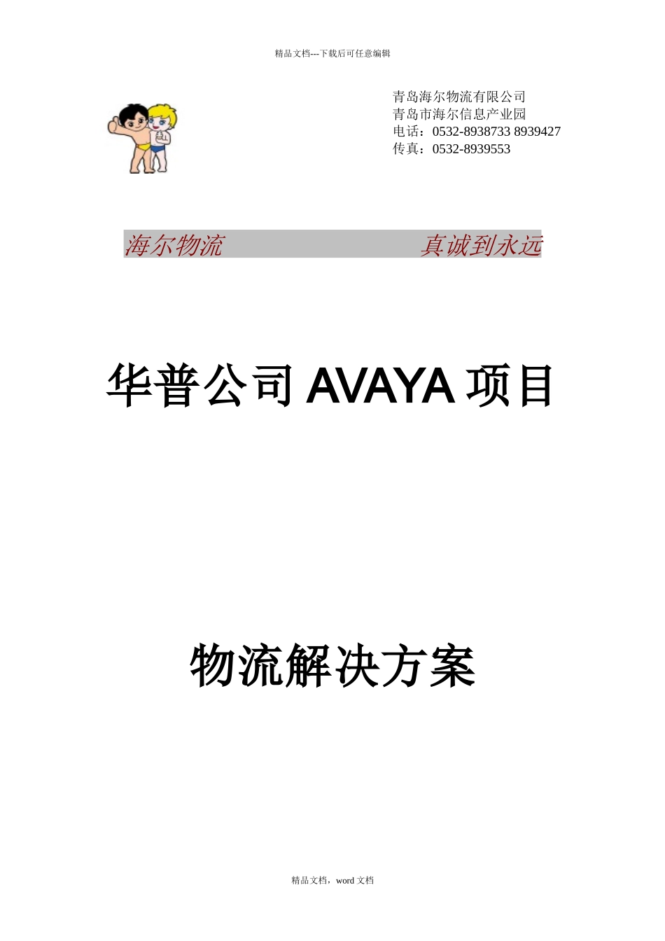 海尔物流解决方案的设计策略(2024整理)_第1页