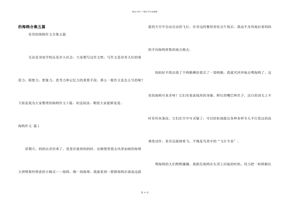 海鸥合集五篇_第1页
