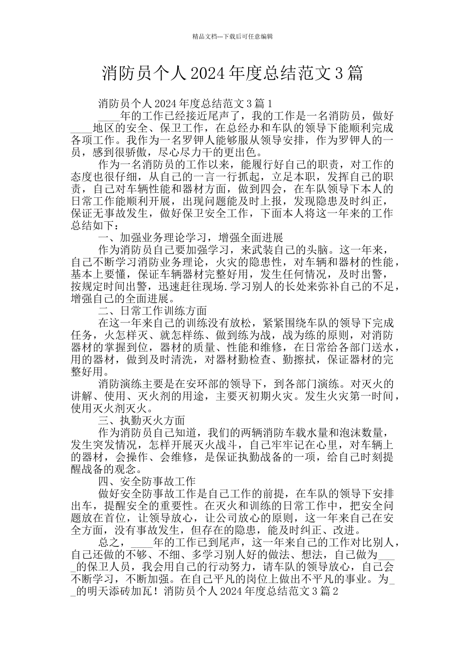 消防员个人2024年度总结范文3篇_第1页