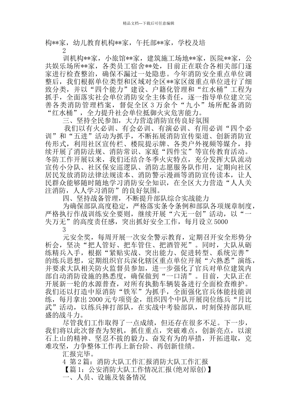 消防大队消防工作汇报_第2页