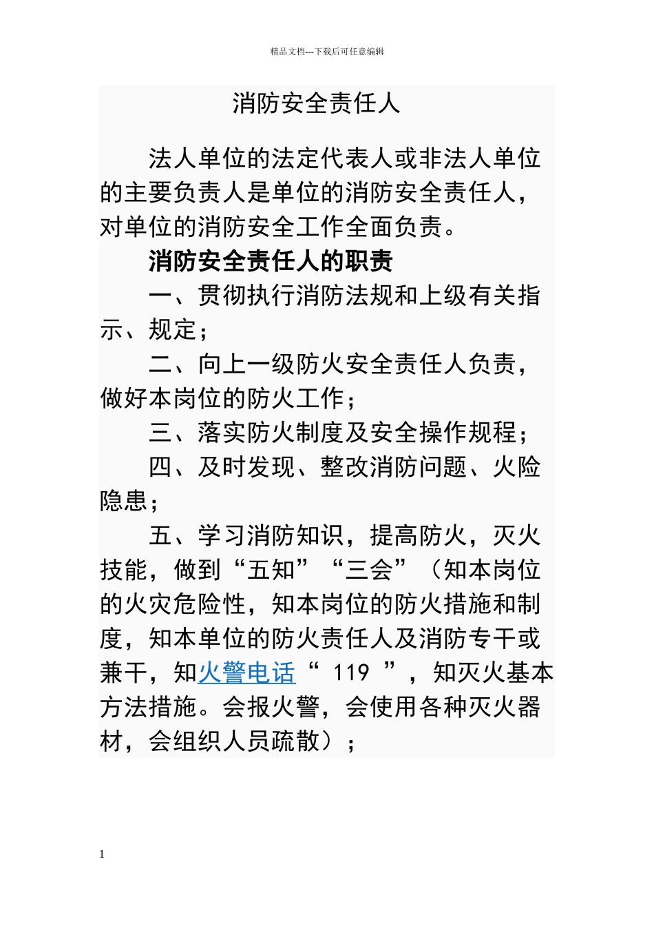 消防安全责任人制度_第1页