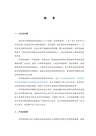 深圳市中科智担保投资股份有限公司商业计划书