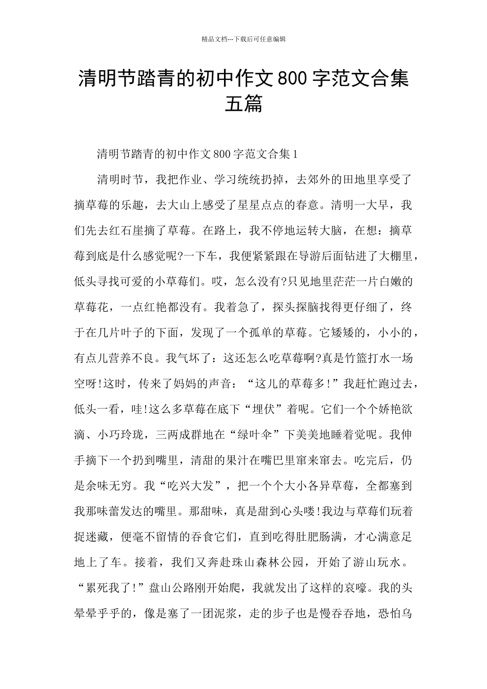 清明节踏青的初中作文800字范文合集五篇_第1页