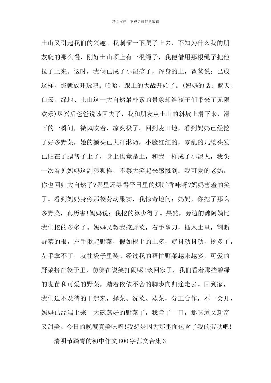 清明节踏青的初中作文800字范文合集五篇_第3页