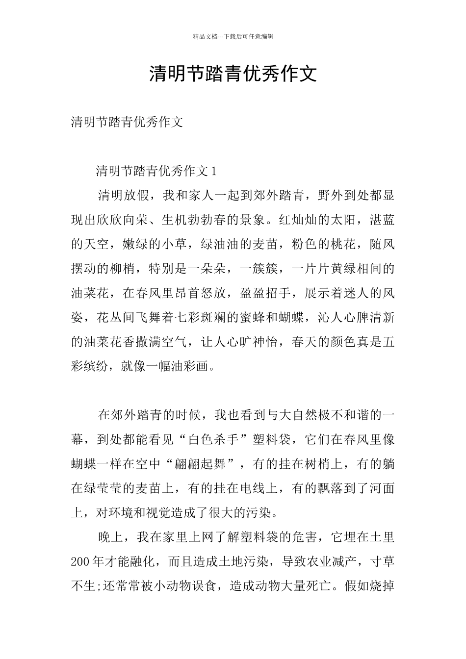 清明节踏青优秀作文_第1页