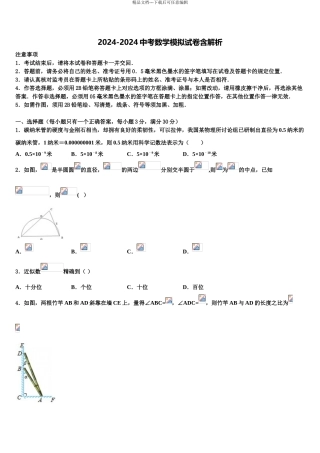 湖南省娄底市第五中学中考适应性考试数学试题含解析